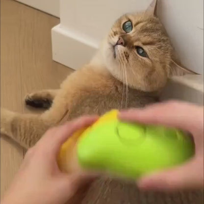 Smooth brush for pet hair